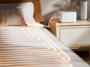 Screenshot-2023-10-30-at-08-22-46-Xiaomi-Mijia-Smart-Electric-Blanket-1.webp-Imagen-WEBP-800-×-800-pixeles