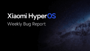 Hyoeros Bug Report