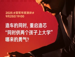 Xiaomi coches y chips - detail 1